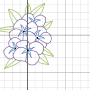 Flower Graph Desmos